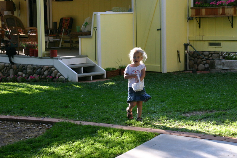 img 8732
