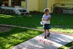 img 8733