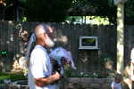 img 8748
