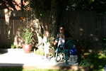 img 8765