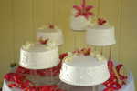 Wedding Pictures 056