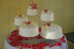 Wedding Pictures 059