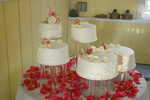 Wedding Pictures 060