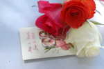Wedding Pictures 094