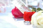 Wedding Pictures 095
