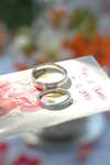 Wedding Pictures 099