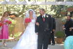 Wedding Pictures 109b