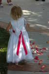 Wedding Pictures 138