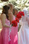 Wedding Pictures 165