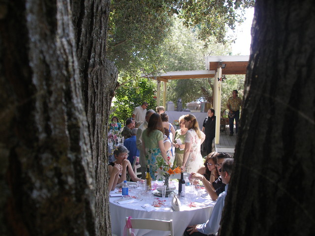 Wedding 030
