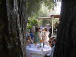 Wedding 030