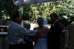 img 8854