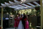 img 8881