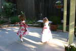 img 8891