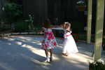 img 8893