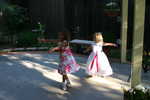 img 8894