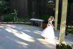 img 8896